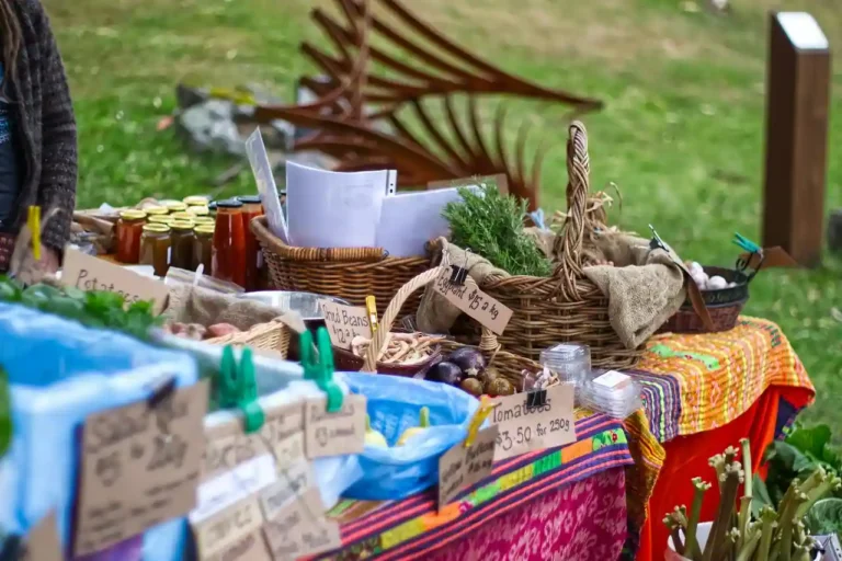Cuisine à Lons-le-Saunier : ce qui bouge dans la capitale du Jura