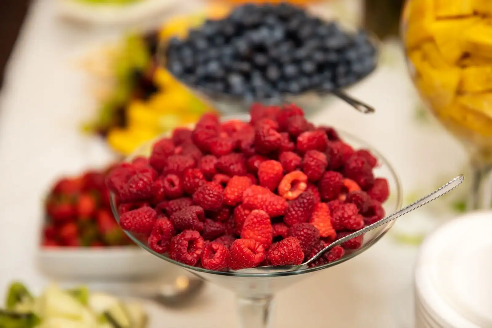 Desserts aux fruits frais colorés, verrines et salade de fruits de saison