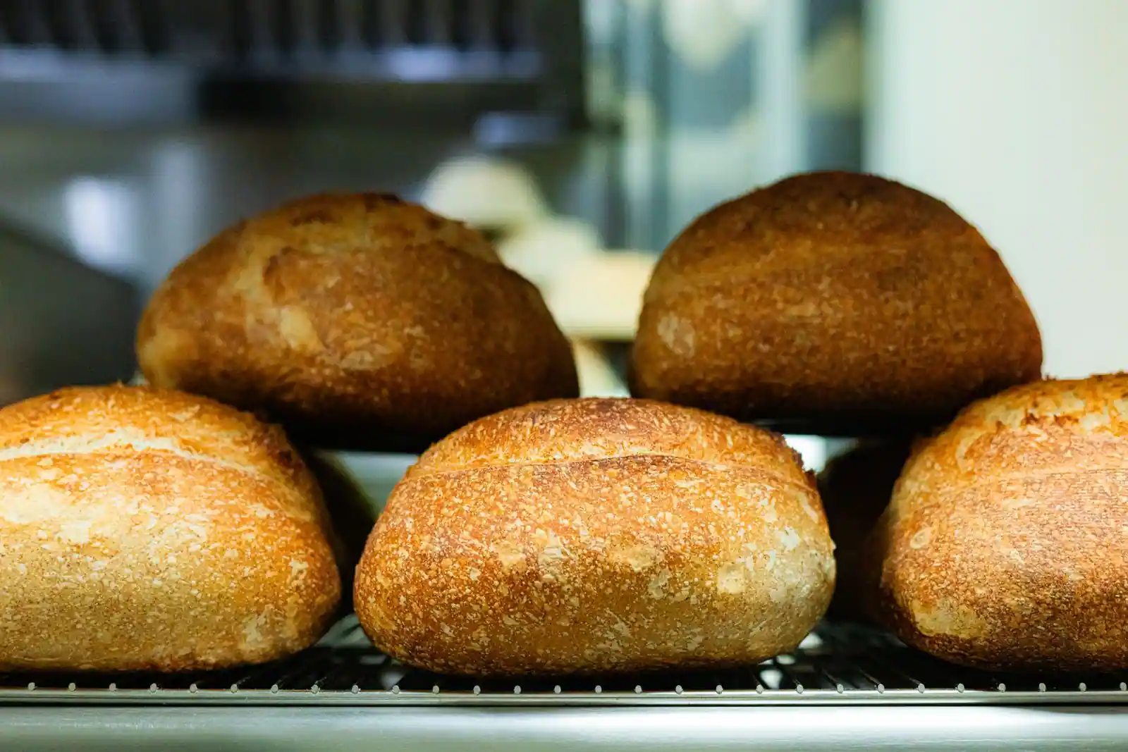 Pains ronds à la croûte dorée et farinée, alignés sur une grille de refroidissement en boulangerie
