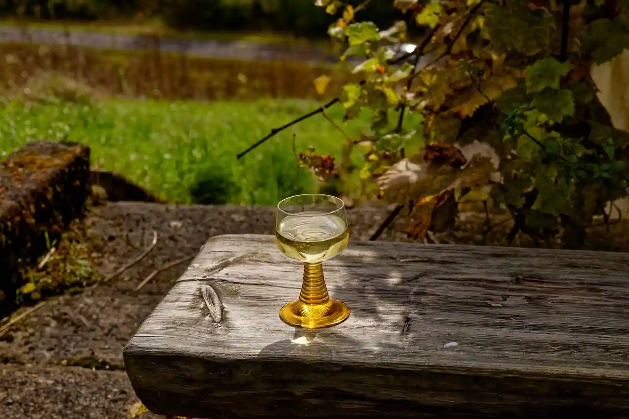 Verre de vin blanc doux à la robe dorée posé sur un banc de bois dans un vignoble