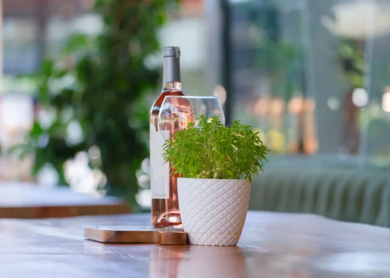 Vin gris : le rosé pâle, ses terroirs et comment le boire