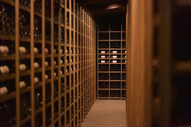 Le vin le plus cher du monde : la Romanée-Conti et le prix de la rareté