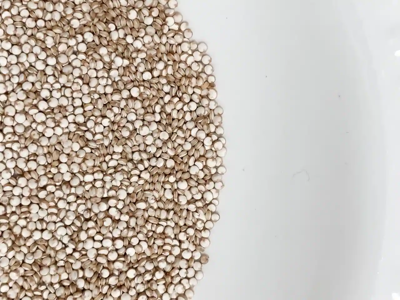 Gros plan sur des graines de quinoa blanc crues, l'anneau du germe visible sur chaque grain