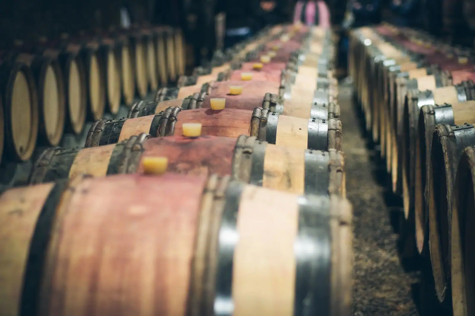 Fûts de chêne alignés dans un chai, où le vin vieillit lentement au contact du bois